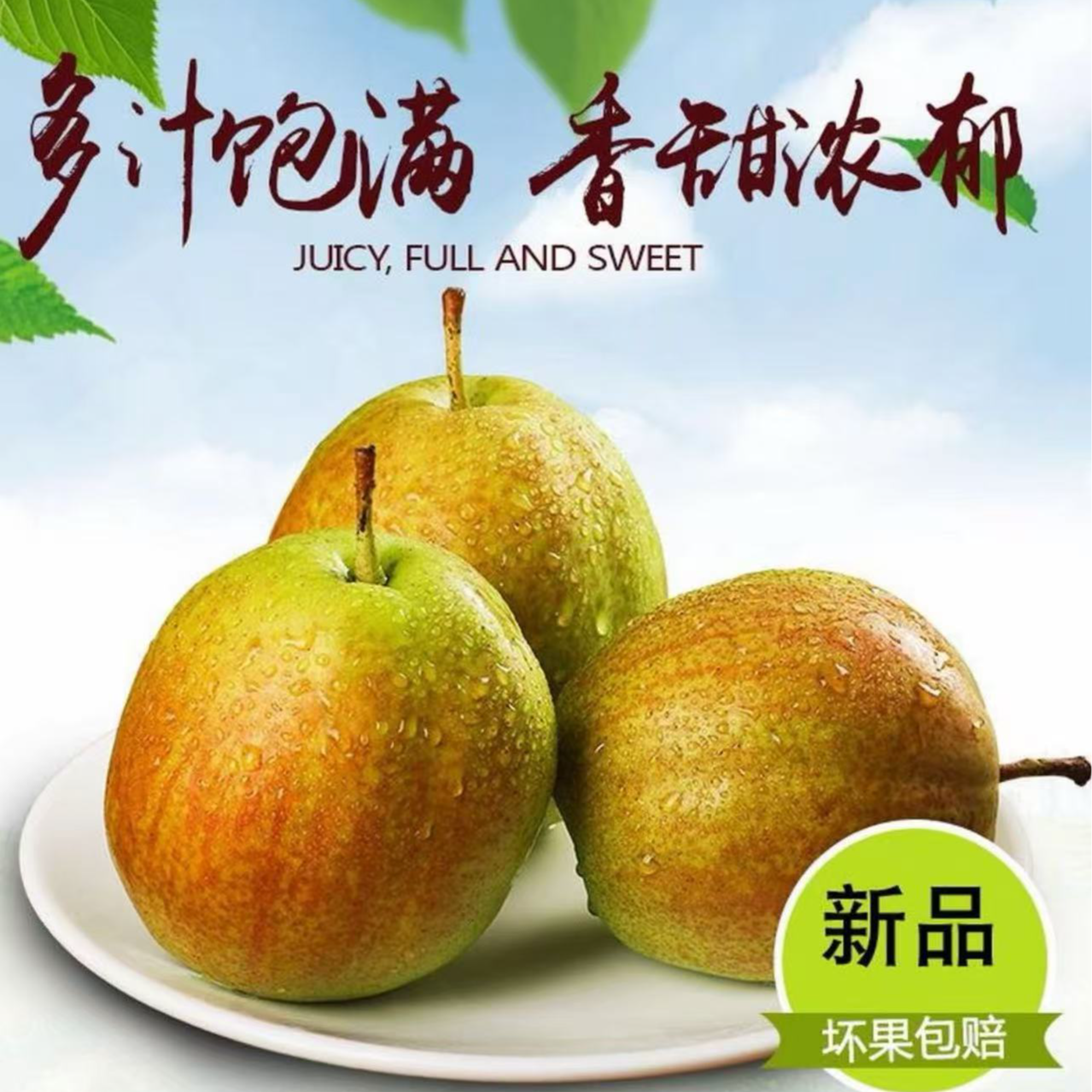 新鲜正宗阳信媚梨7号香甜多汁皮薄核小果肉细腻