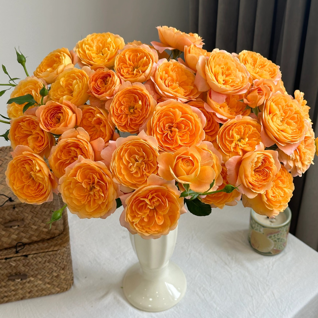 多头【果汁阳台】顺丰包邮鲜花次日达好养护花卉插花家庭用花基地发