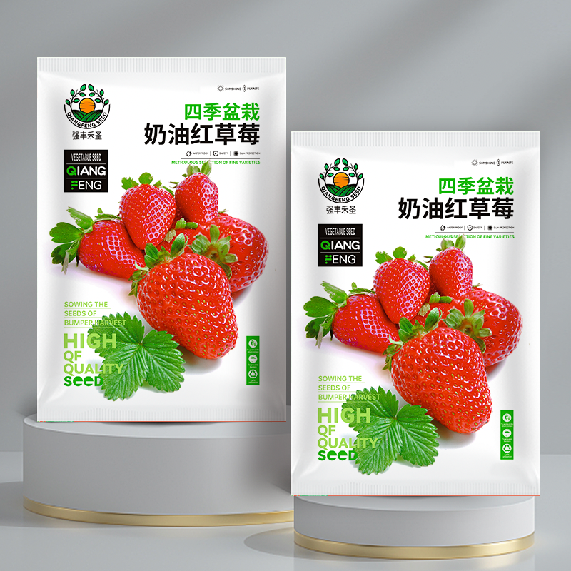 （包装袋13x19厘米）丹东奶油草莓种子四季结果南北可种阳台易爆盆