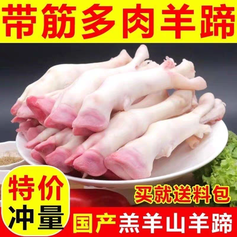 一整箱新鲜生羊蹄小腿羊蹄山羊蹄绵羊蹄羔羊蹄麻辣羊脚炖卤商用