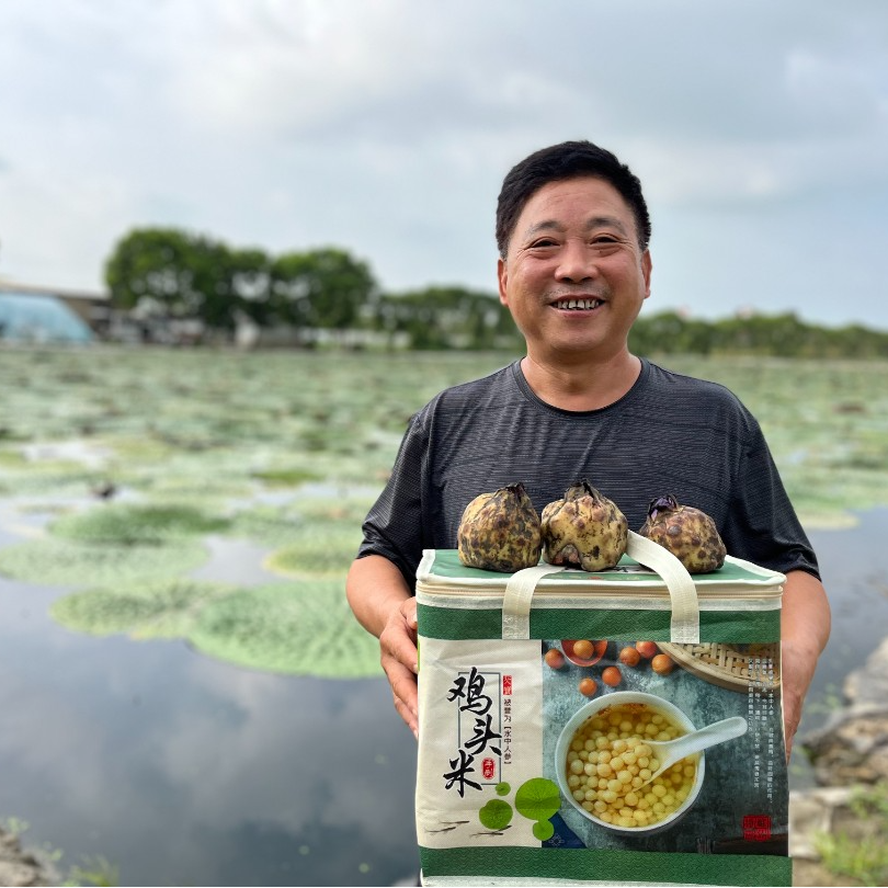 现货【中果】正宗苏州鸡头米2025水八仙软糯香甜冰冻鲜芡实