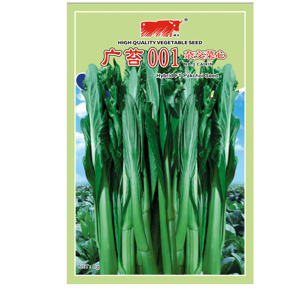 广苔001杂交菜心苔种子（净含量：2000粒）