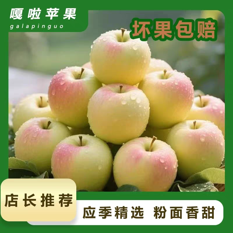 【黄嘎啦苹果】粉面香甜5斤/3斤（属于中小型果品种，没红富士苹果大）