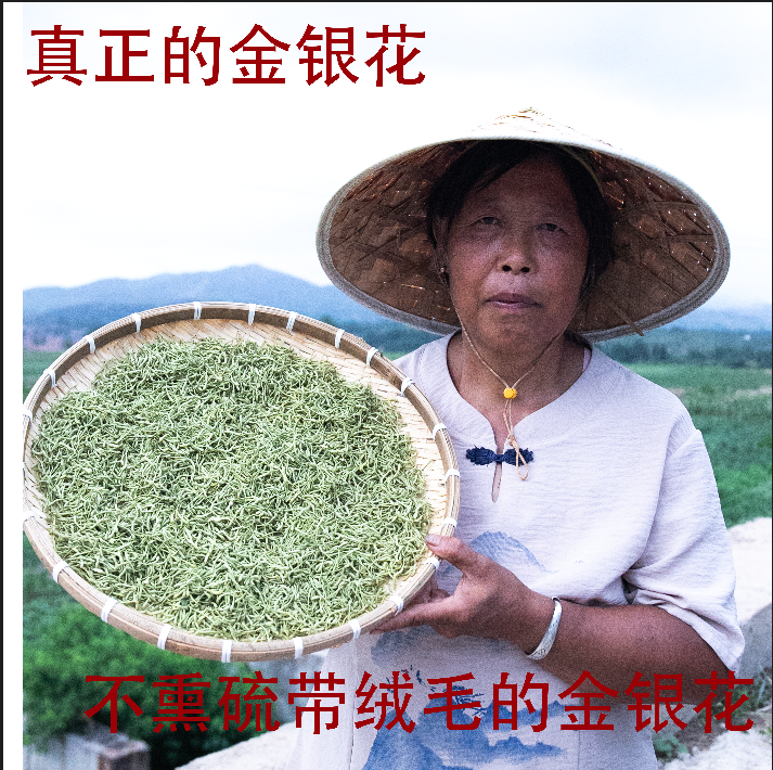 真正金银花带绒毛高品质无熏硫金银花全部发净重