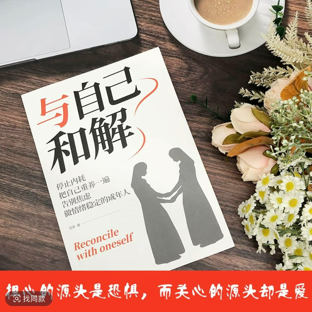 与自己和解摆脱负面情绪做内核稳定的成年人停止内耗告别焦虑书籍