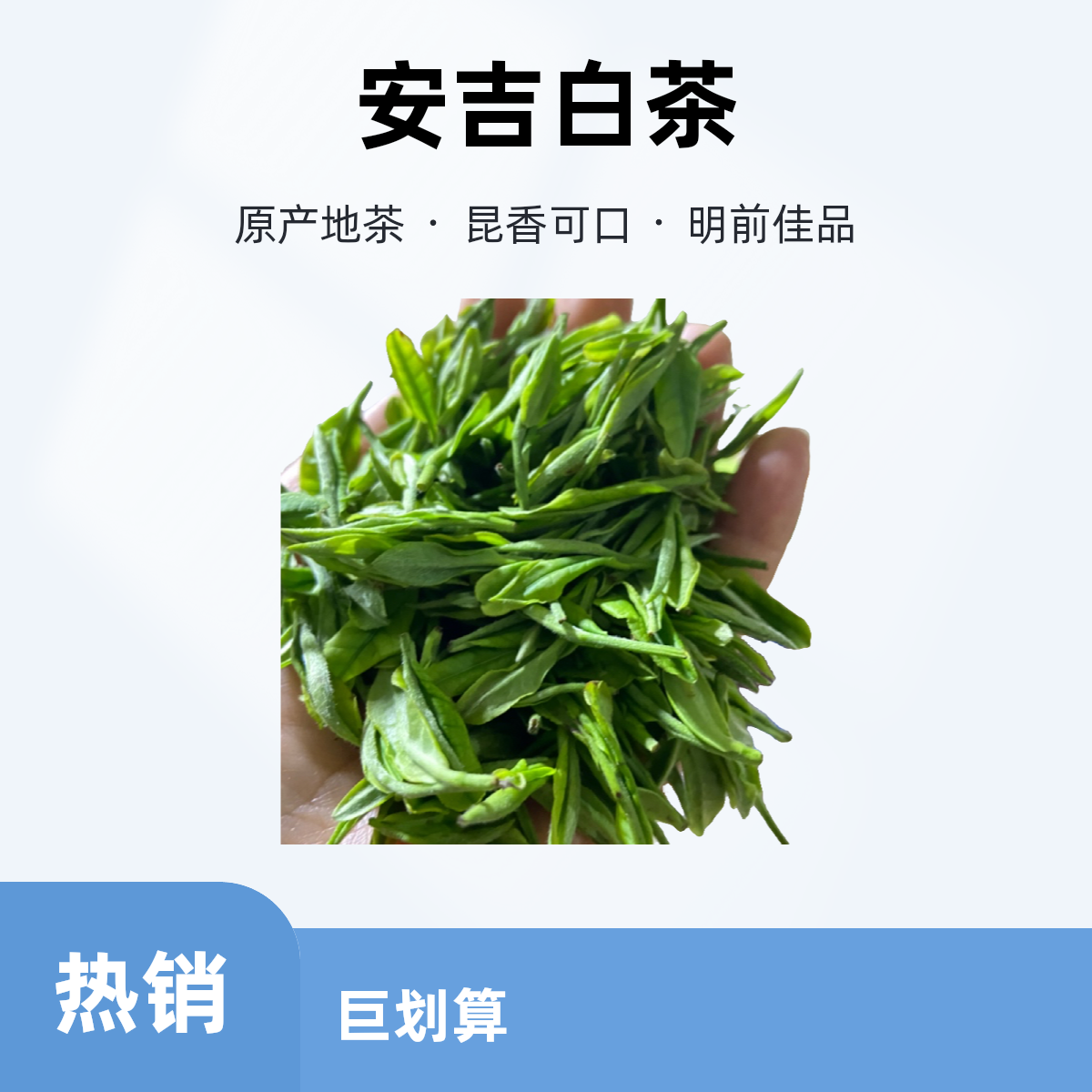 安吉白茶【昆香】25年安吉昆铜产区兰香明前鲜甜肥芽原产地茶品