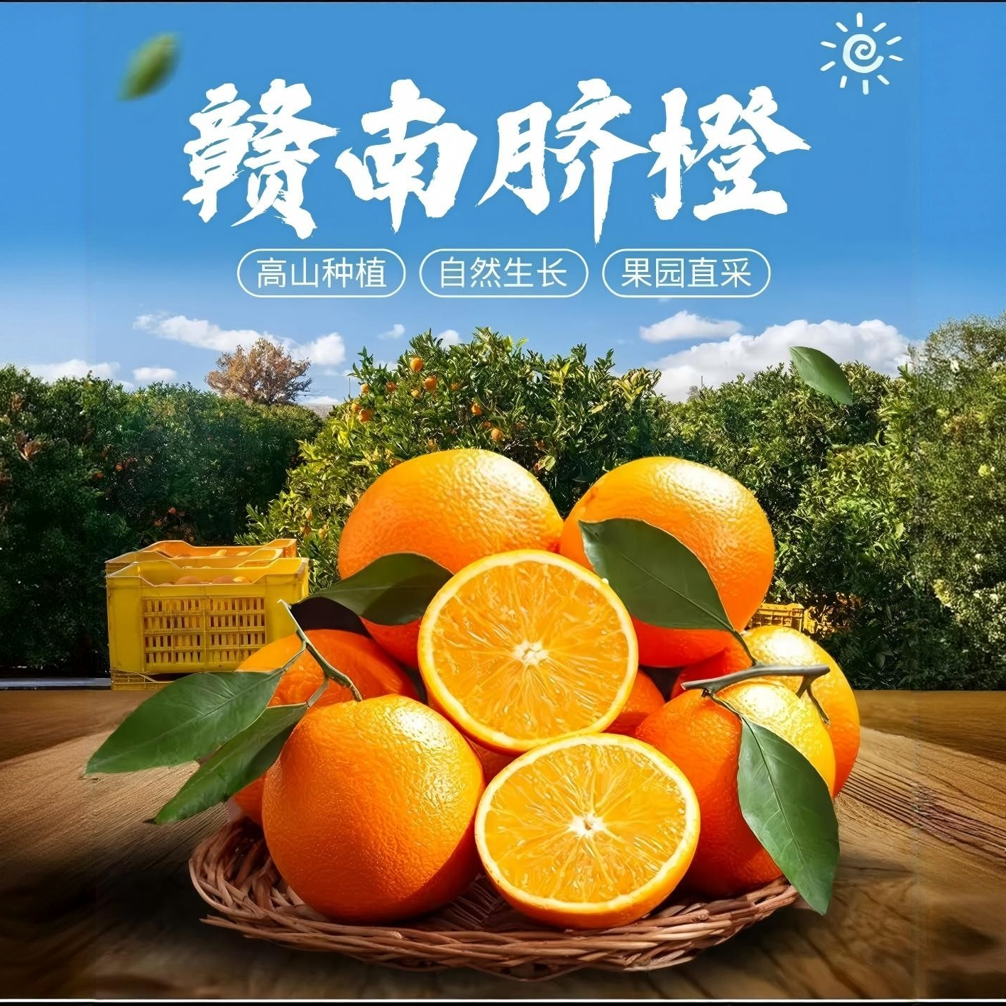 【产地直发】正宗赣南脐橙新鲜采摘头茬鲜果赣州安远县爆甜多汁O