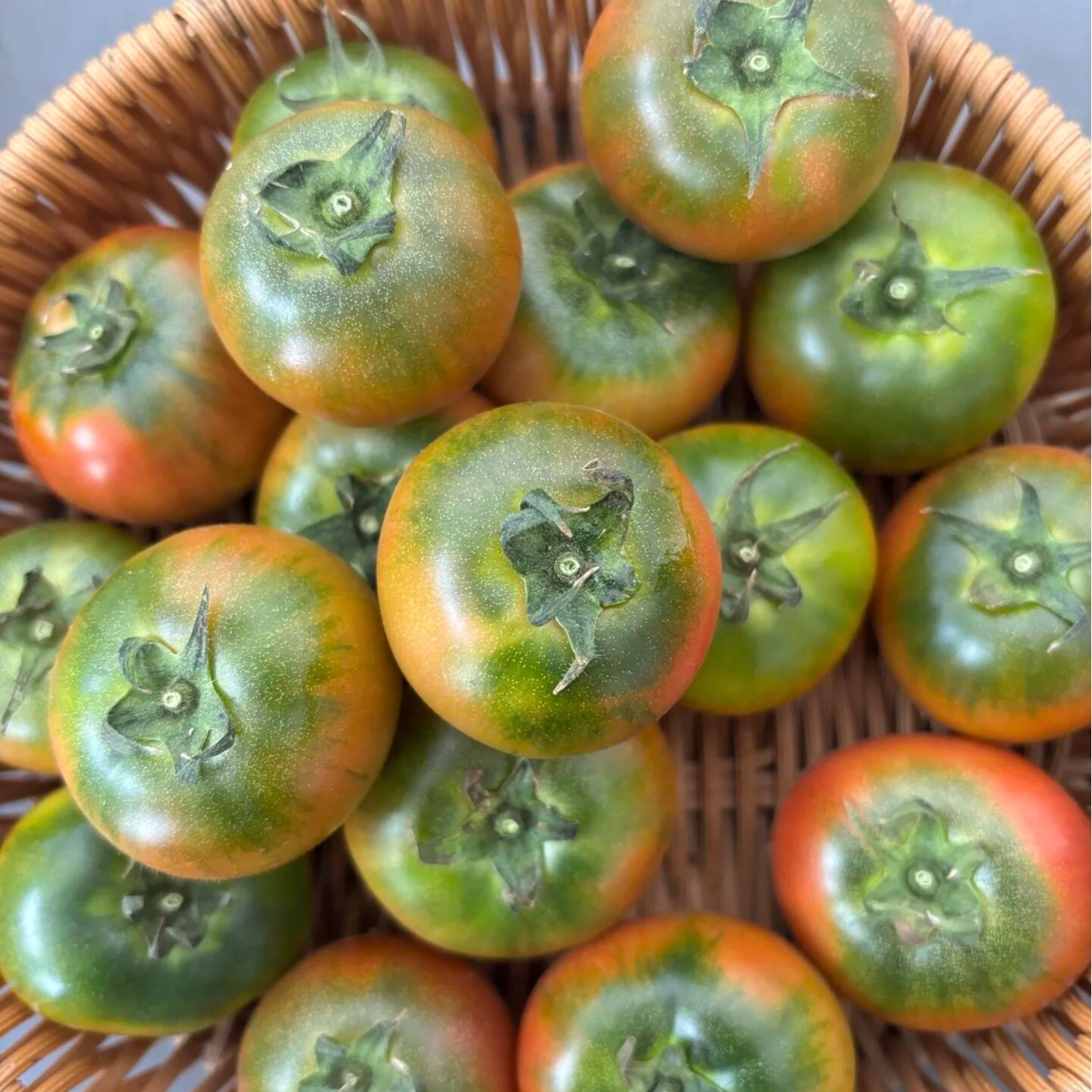 正宗盘锦碱地柿子碱地土壤种植产地直发顺丰发货老人儿童孕妇水果