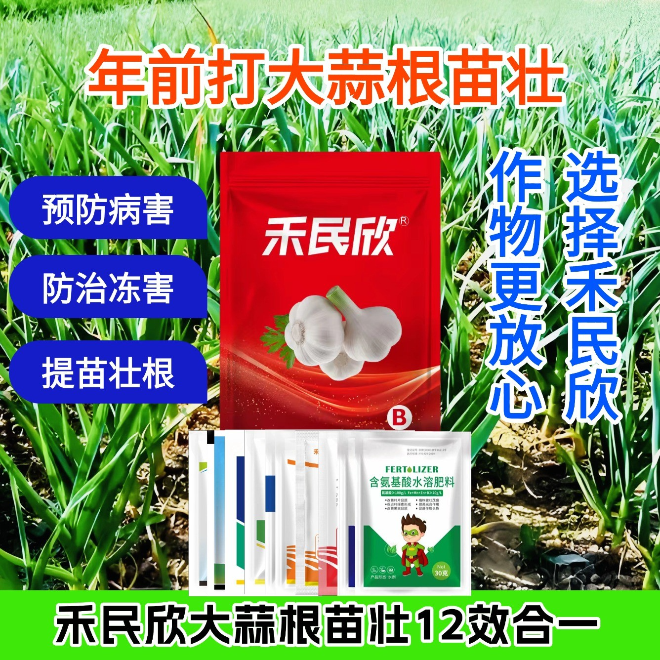 大蒜根苗壮专用增产年前一遍稳产高产方案防病大蒜生根壮苗叶面肥