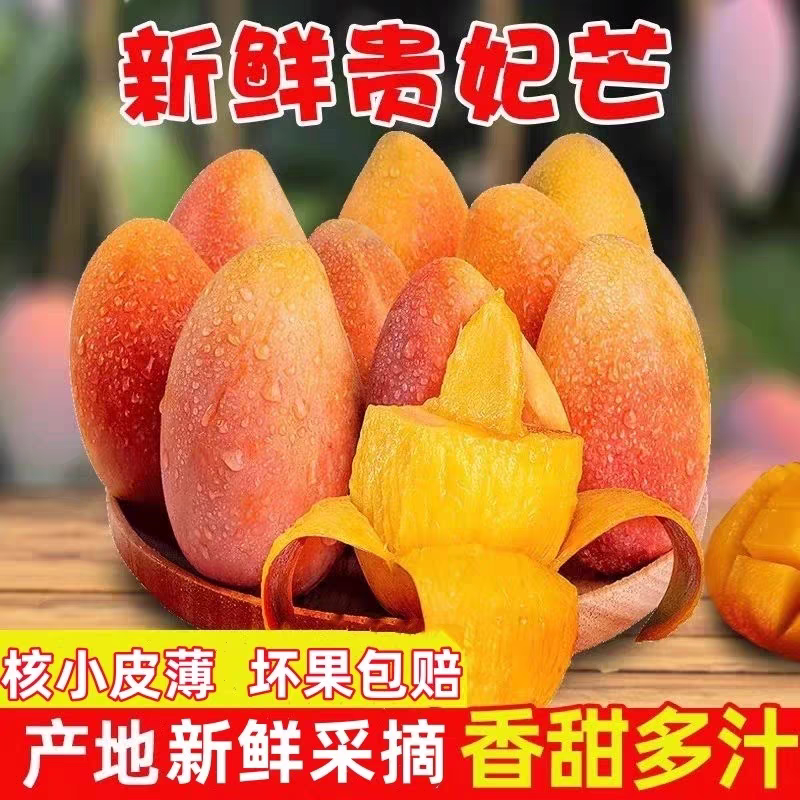 X5【放软食用】现摘正宗广西百色贵妃芒新鲜老树果当季果软糯香甜