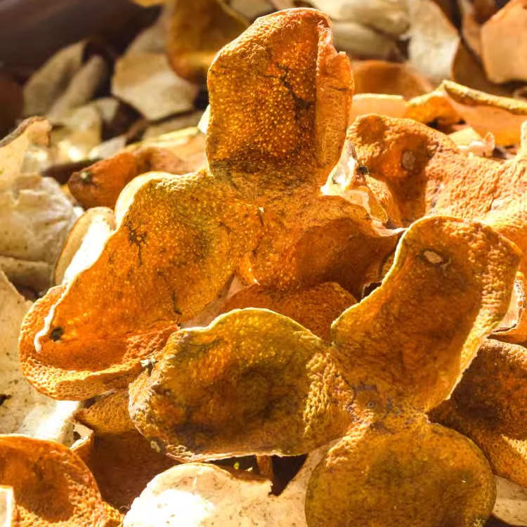 【茶坑圈枝头采大红】2025年新会陈皮