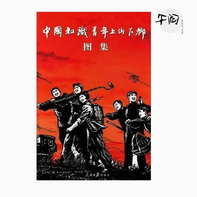 [断版新书] 中国知识青年上山下乡图集人民日报出版社靳建疆收录