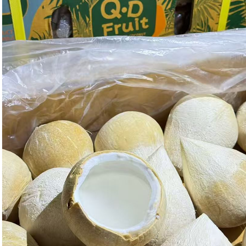 【D牌】QD泰国进口椰皇香甜清澈【坏果包赔】只做新票 发顺丰