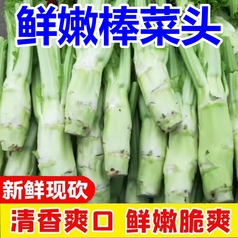 新鲜棒菜四川特产农家自种蔬菜棒棒菜青菜头芥菜棒棒菜