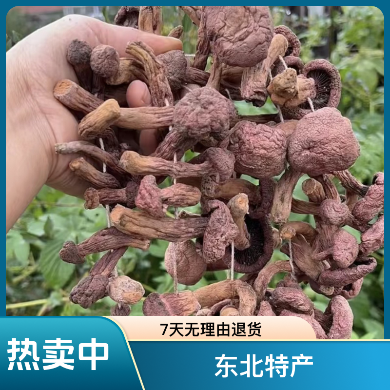红松伞蘑菇红蘑肉蘑红蘑丁东北特产自然晾晒红蘑新货