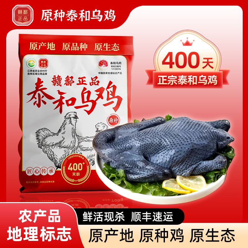 《食安放心》正宗泰和乌鸡农家散养400天土鸡l老母鸡白羽鸡顺丰包邮