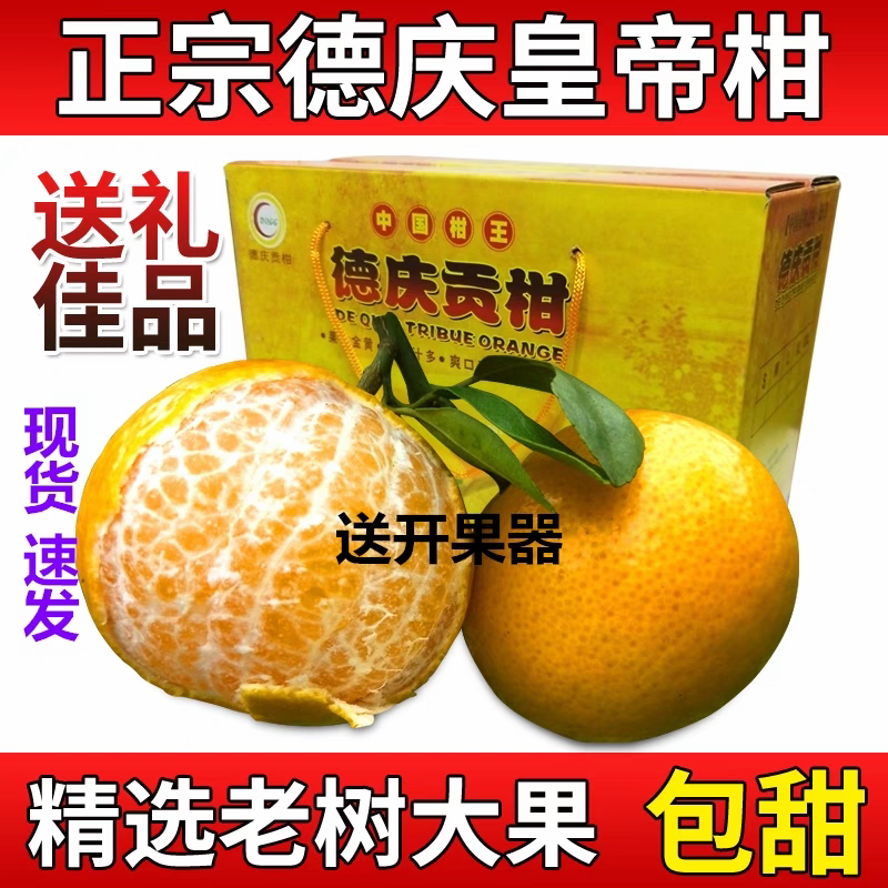 正宗德庆皇帝柑新鲜现摘当季水果纯甜多汁现摘现发高山老树果贡柑