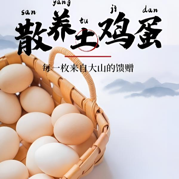 蛋岛主山林散养新鲜土鸡蛋营养健康到手一箱