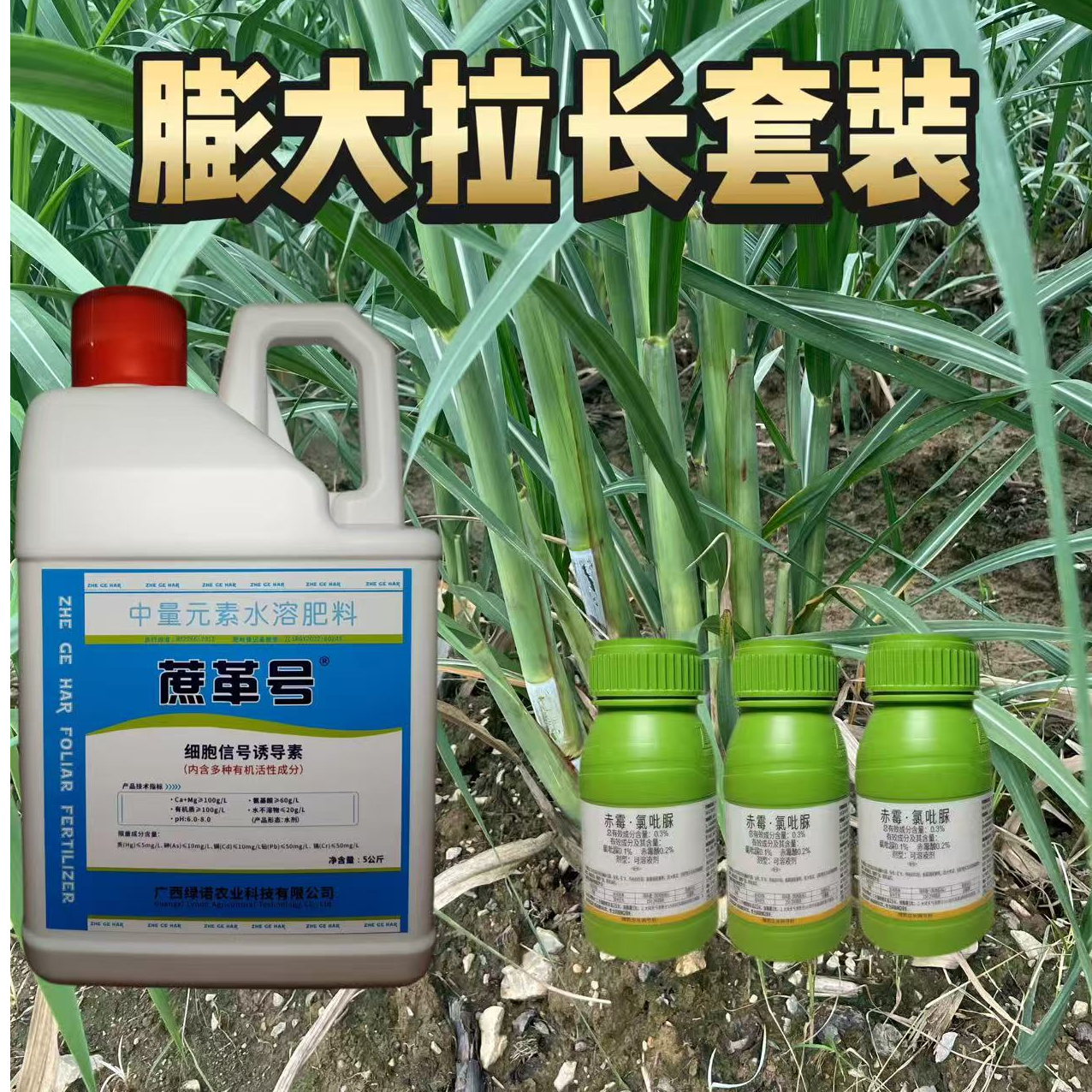 蔗革号甘蔗专用叶面肥壮苗膨大粗壮防开裂见效快正品保证套装