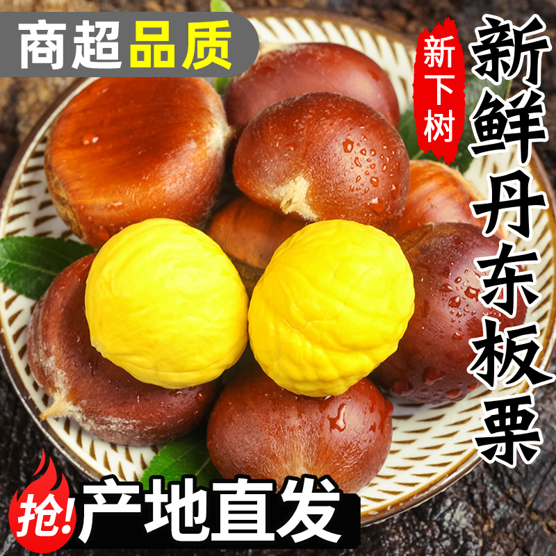 【不开口发货】正宗丹东生板栗新鲜栗子当季新鲜水果大板栗难剥皮
