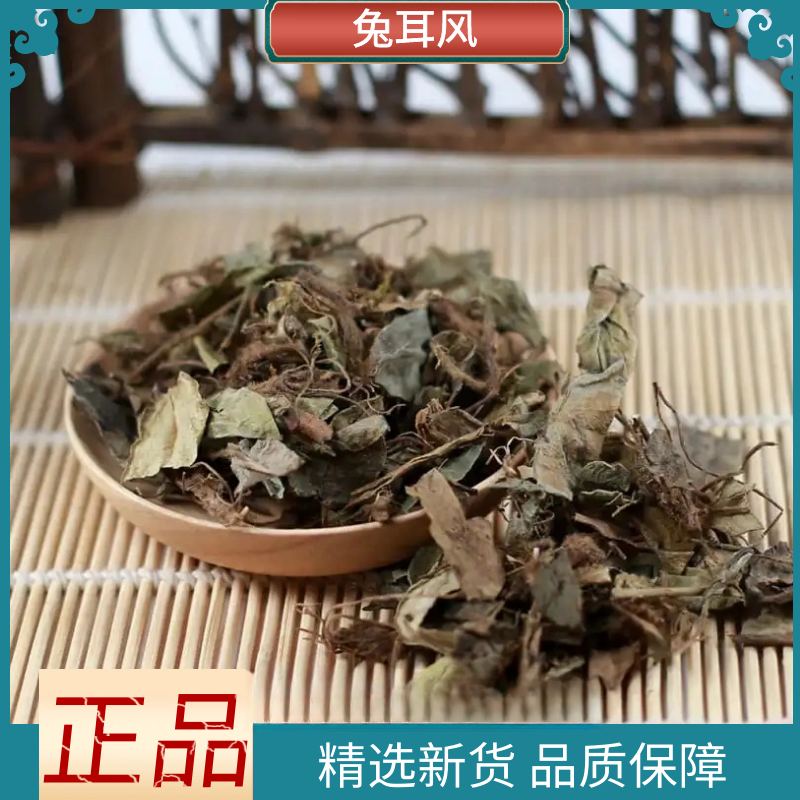 野生兔耳风精选杏香兔儿风金边兔耳风新鲜干货散装正品叶菜包邮