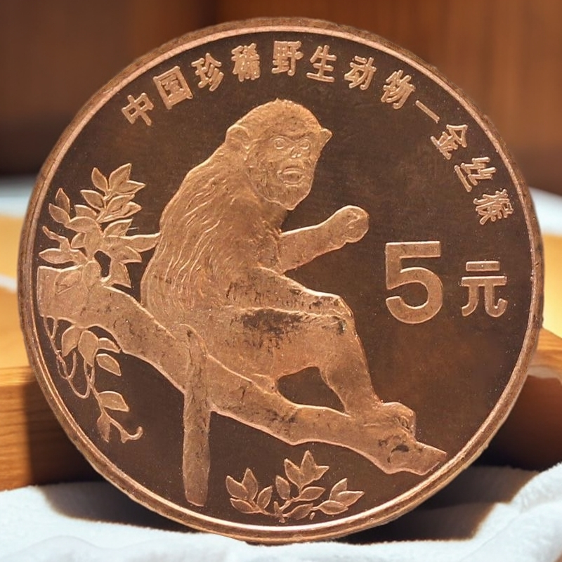 法定货币1995年硬币中国珍稀野生动物纪念币5圆面值流通大号国潮