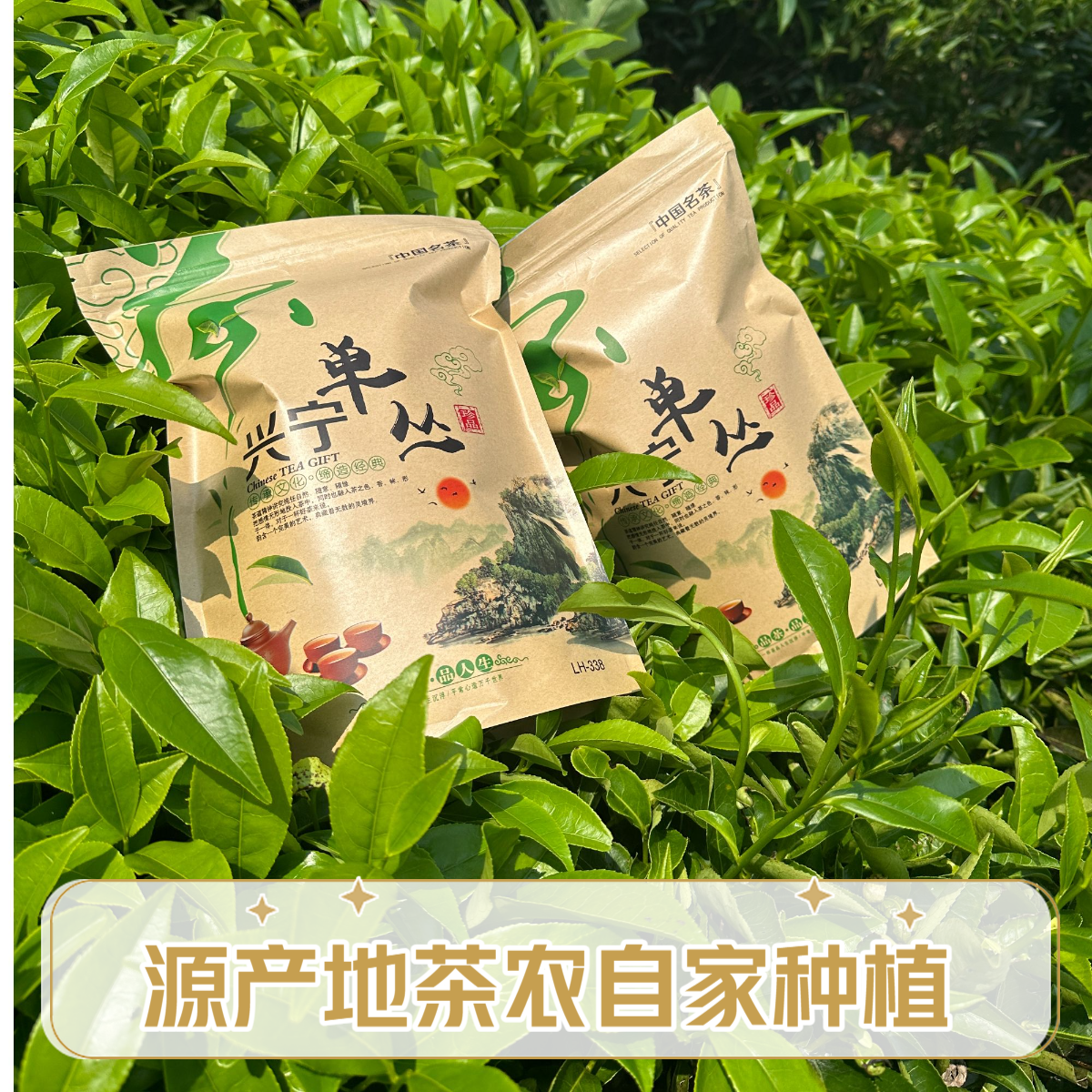 自家茶园种植的单丛茶蜜兰香清香回甘耐泡源产地茶农直销单枞茶