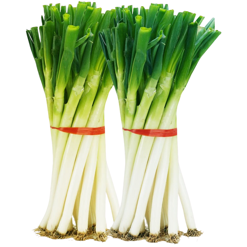 【无硬芯】精品铁杆大葱新鲜现挖现发正宗农家露天种植产地直发包邮