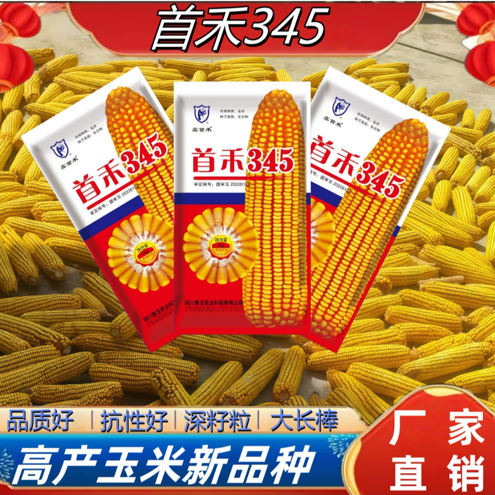 首禾345 超长大棒 1个棒子比别人两个重量