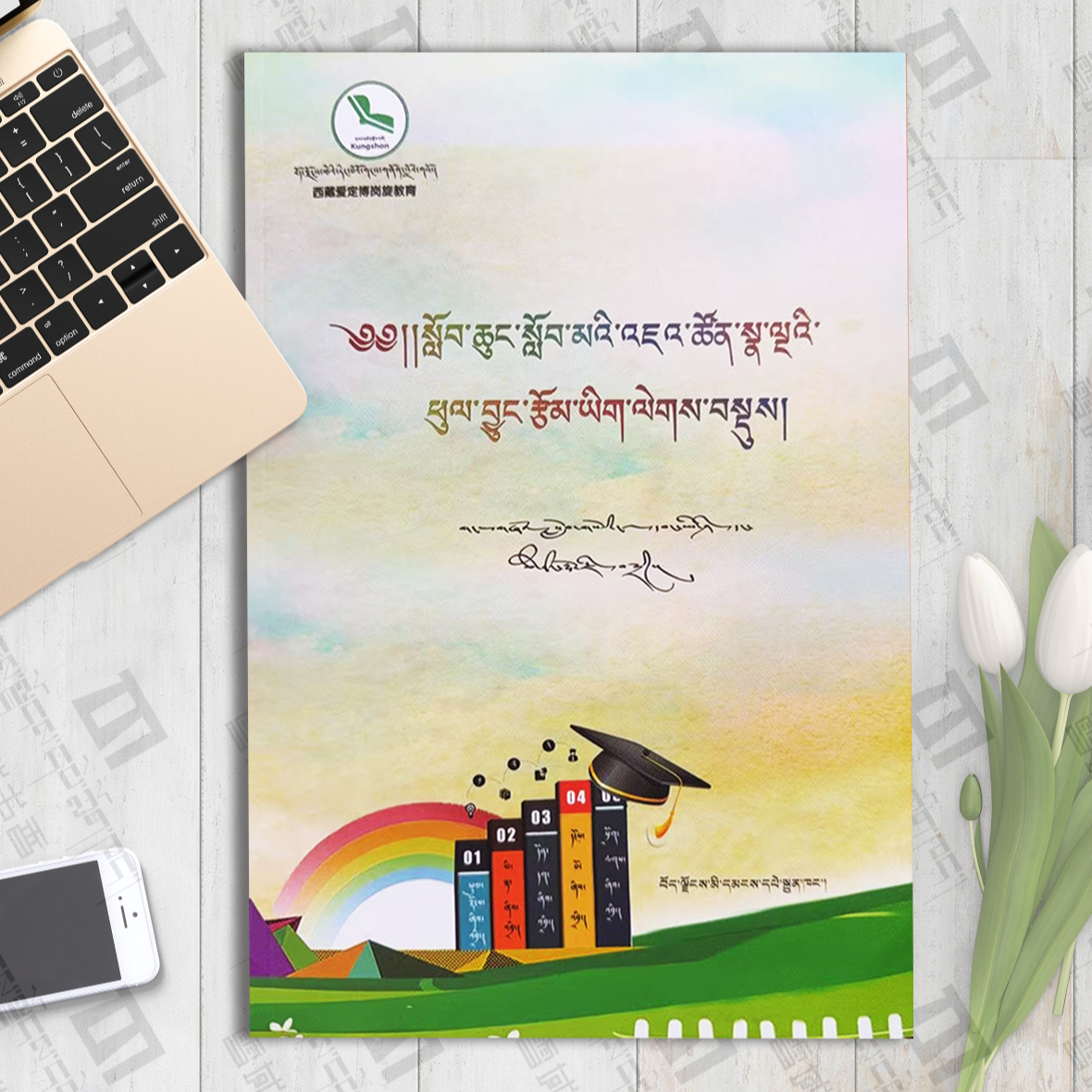 小学生七色彩虹作文精选书作文写作技巧书本书籍阅读：藏文作文书