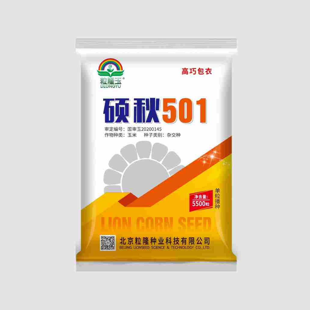 东北高产种子玉米硕秋501高产种子玉米种净含量：5500粒