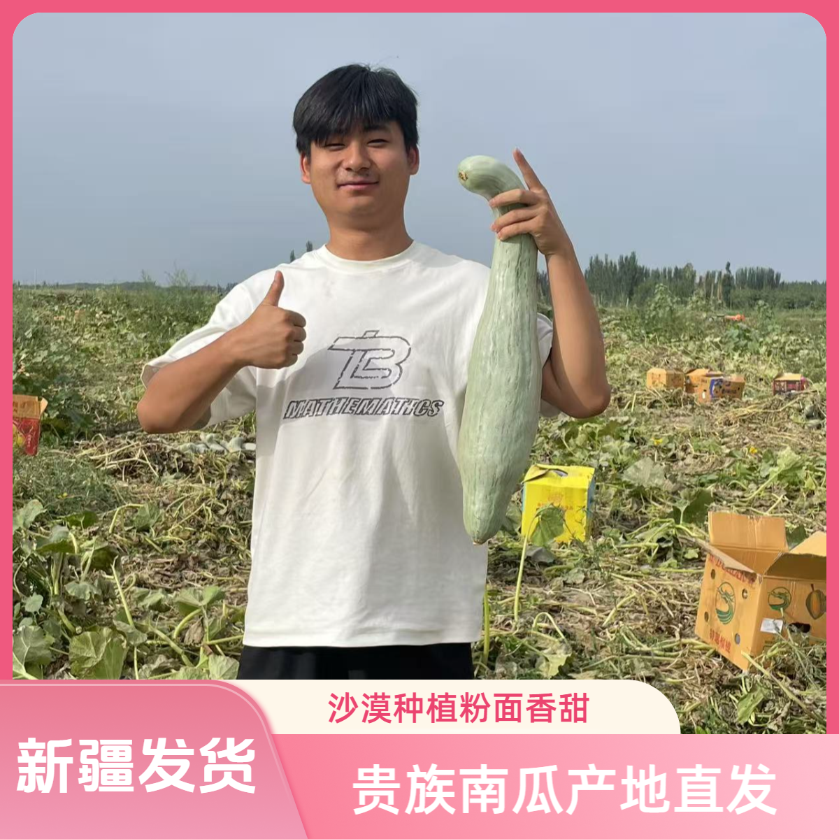 新疆发货贵族南瓜 新疆阿克苏直发包邮粉面香甜