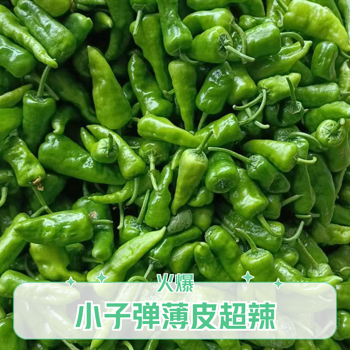 农家直供余干辣椒露天种植产地直销小子弹香辣农家土辣椒现摘蔬菜