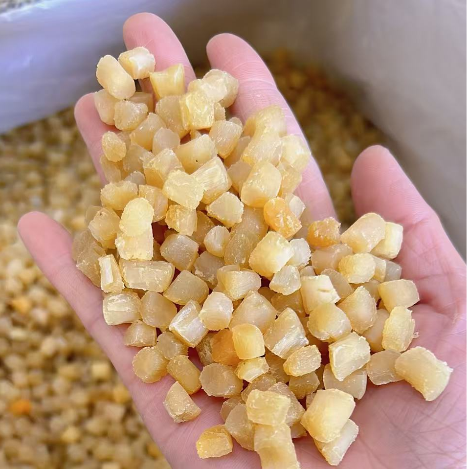 新货干贝瑶柱渔民家晒干海鲜海扇贝瑶柱煲粥鲜美滋补营养500g