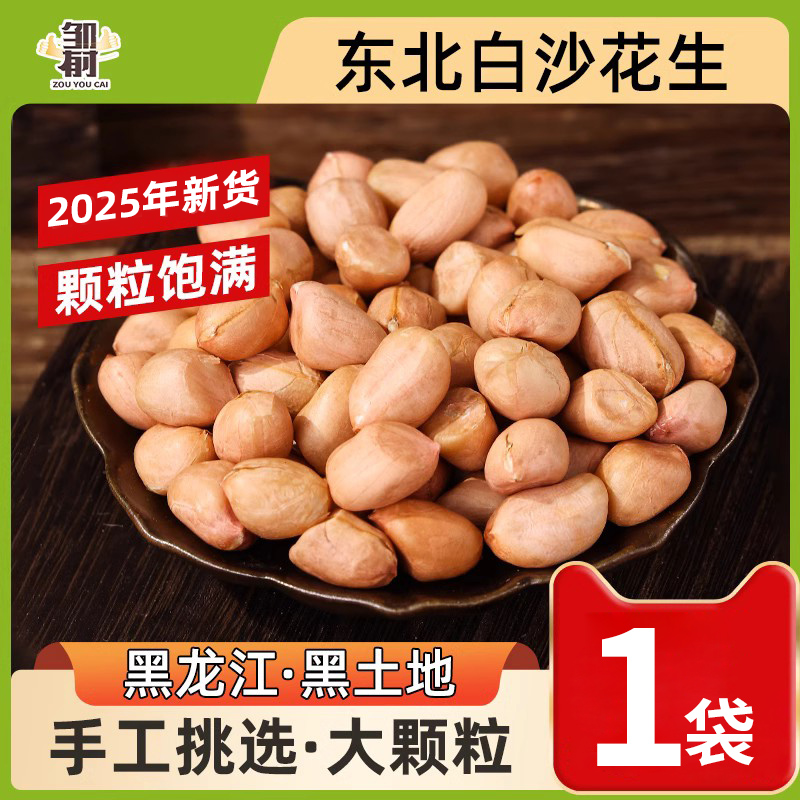 东北白沙生花生米新货特大颗粒新鲜粉皮红衣花生仁不带壳去干花生