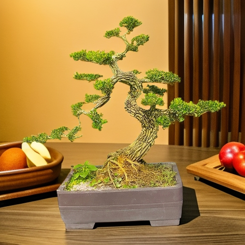 广东皱皮黄荆迎客松罗汉松雀舌黄杨盆景绿植茶桌绿植绿植盆栽室内