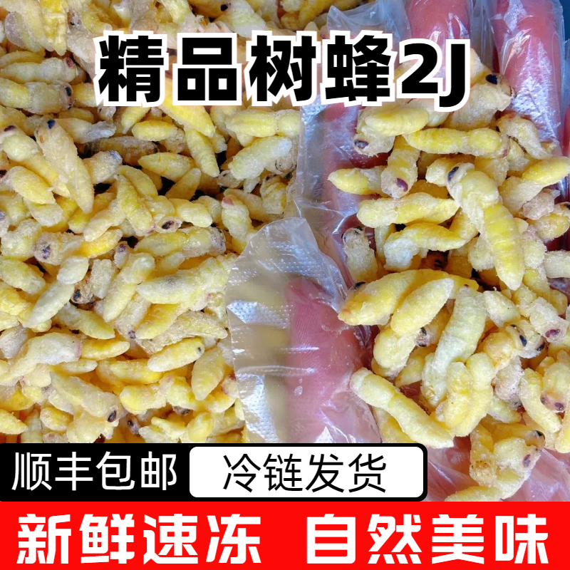 树蜂2蜂蛹新鲜速冻蜂蛹今年新货马蜂胡蜂葫芦蜂