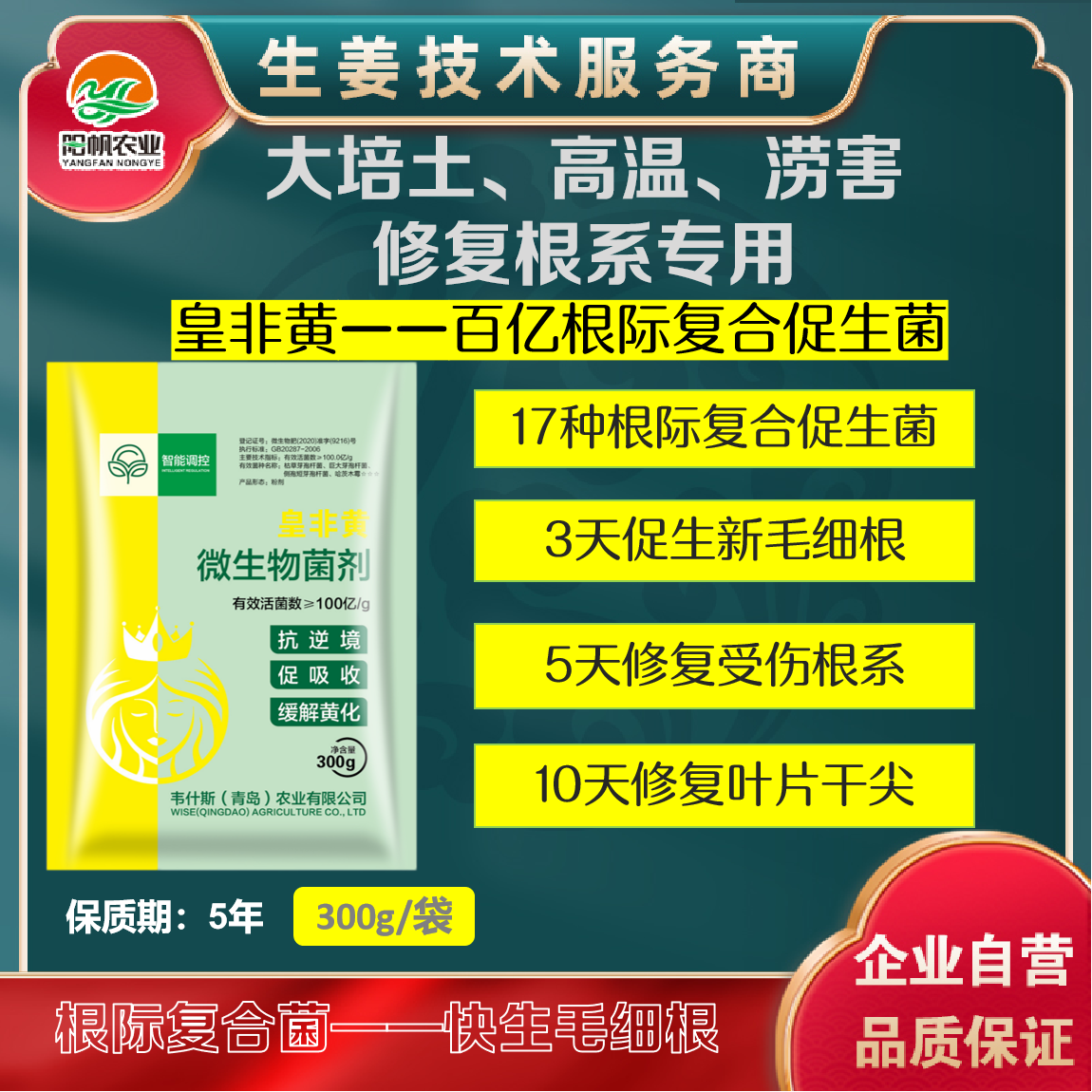 皇非黄百亿根际复合菌大培土高温涝害修复根系快生毛细根