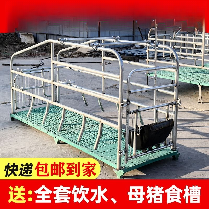 畜牧简易母猪产床落地猪位新款产保定位两用带漏粪板超厚限位产床