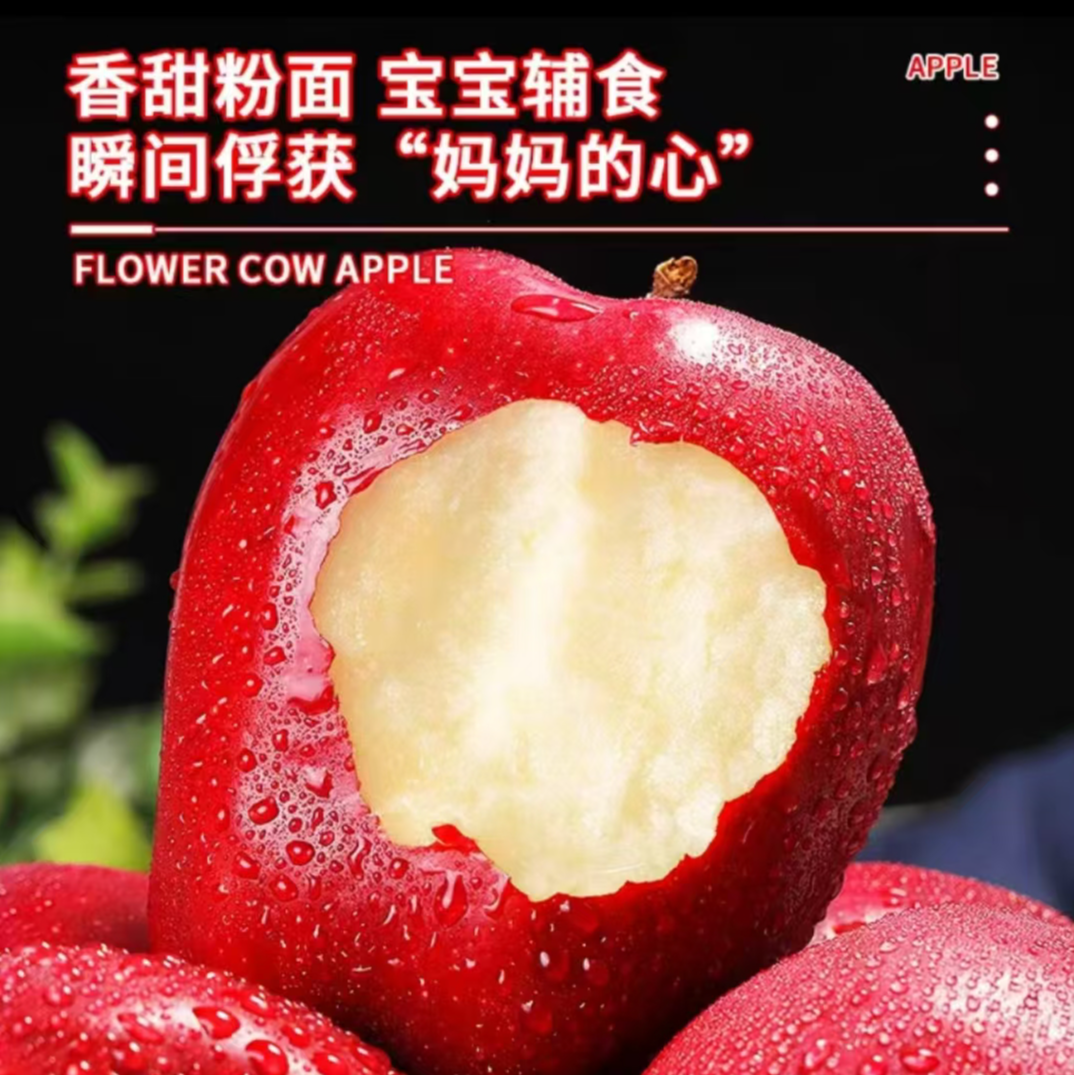 【中秋福利】甘肃老树花牛苹果3-10斤大果包邮 粉糯香甜