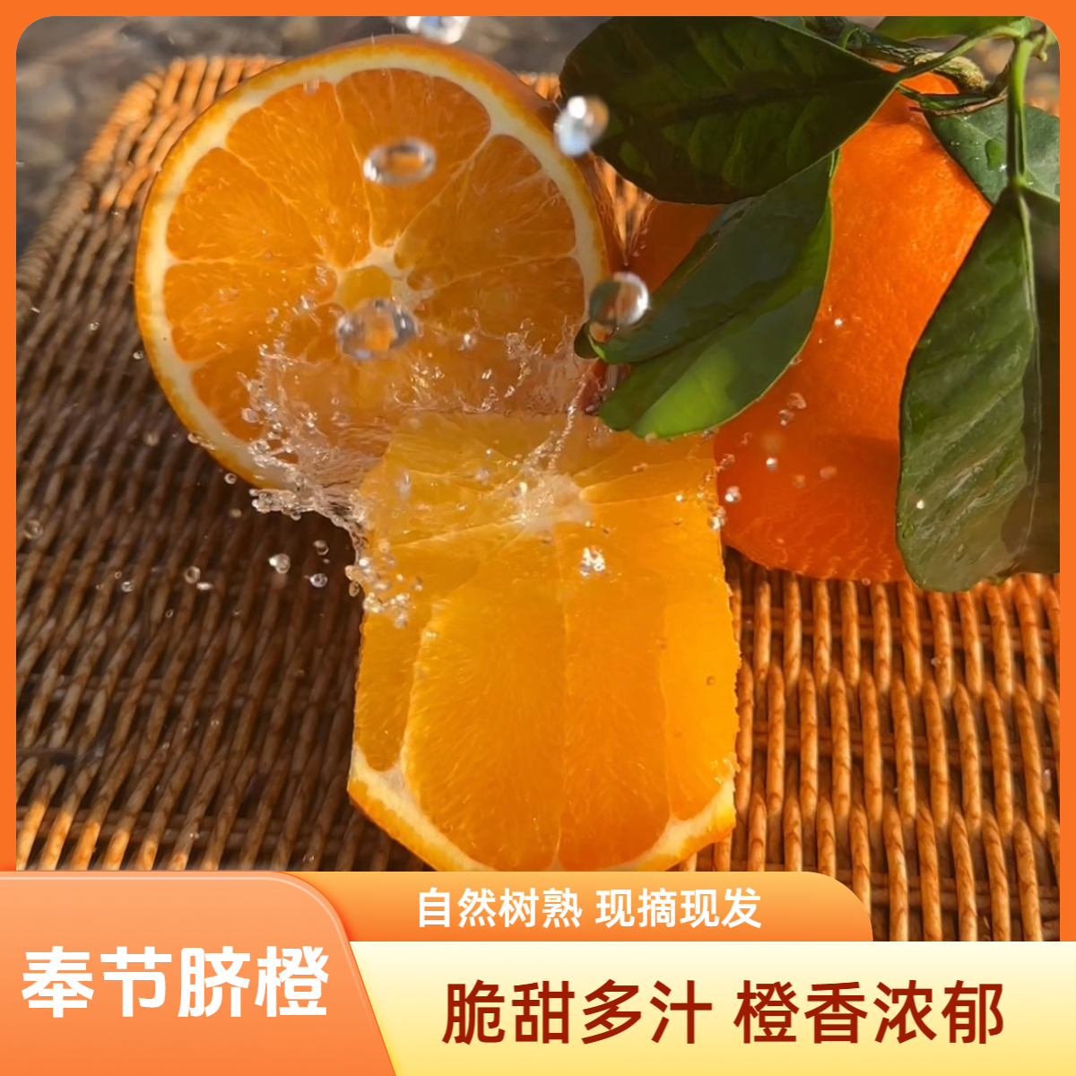 正宗奉节脐橙新鲜采摘鲜嫩多汁果肉细腻脆嫩化渣5/10斤非赣南脐橙