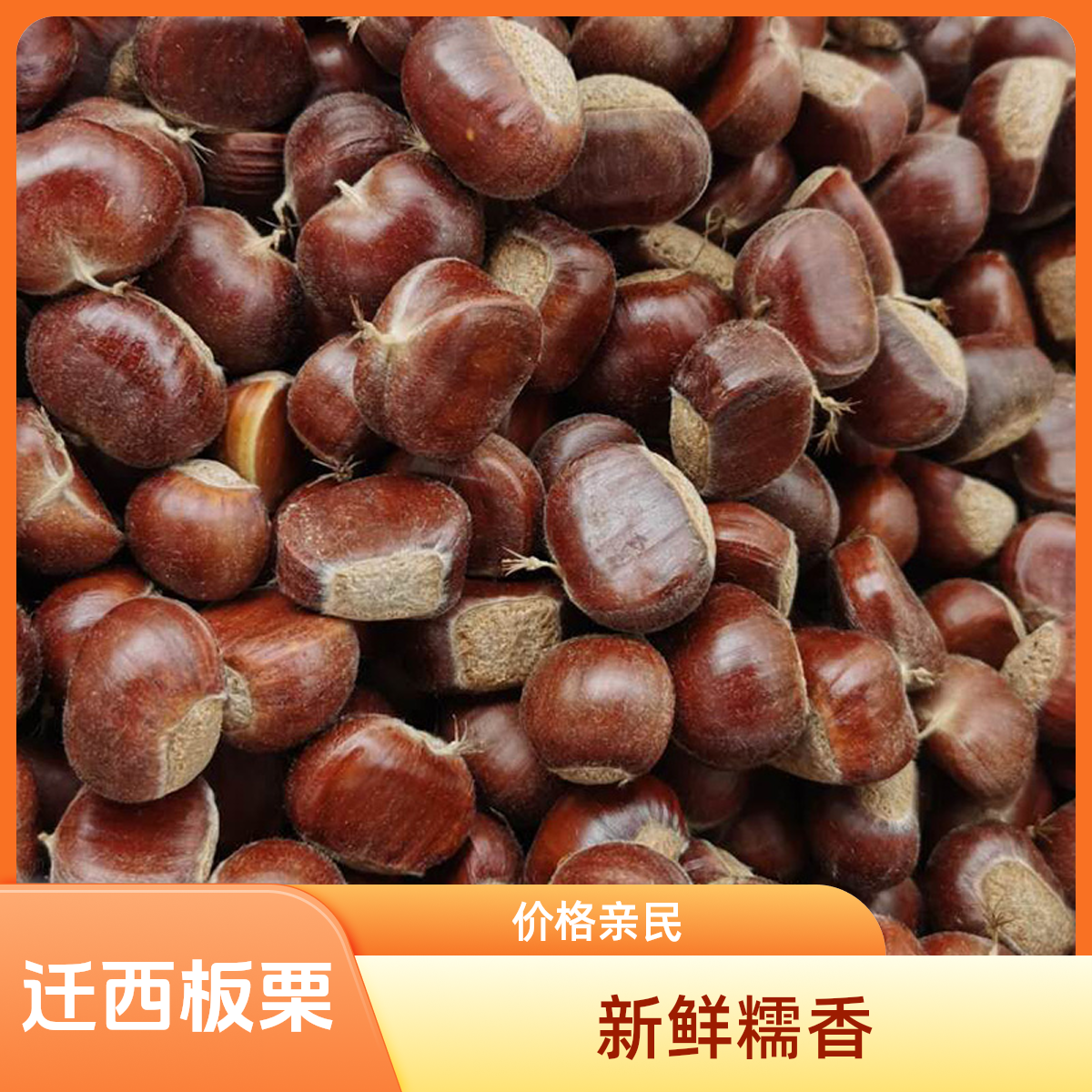 正宗迁西板栗新鲜生栗子油栗香甜糯粉皮薄毛栗子唐山特产农家直发