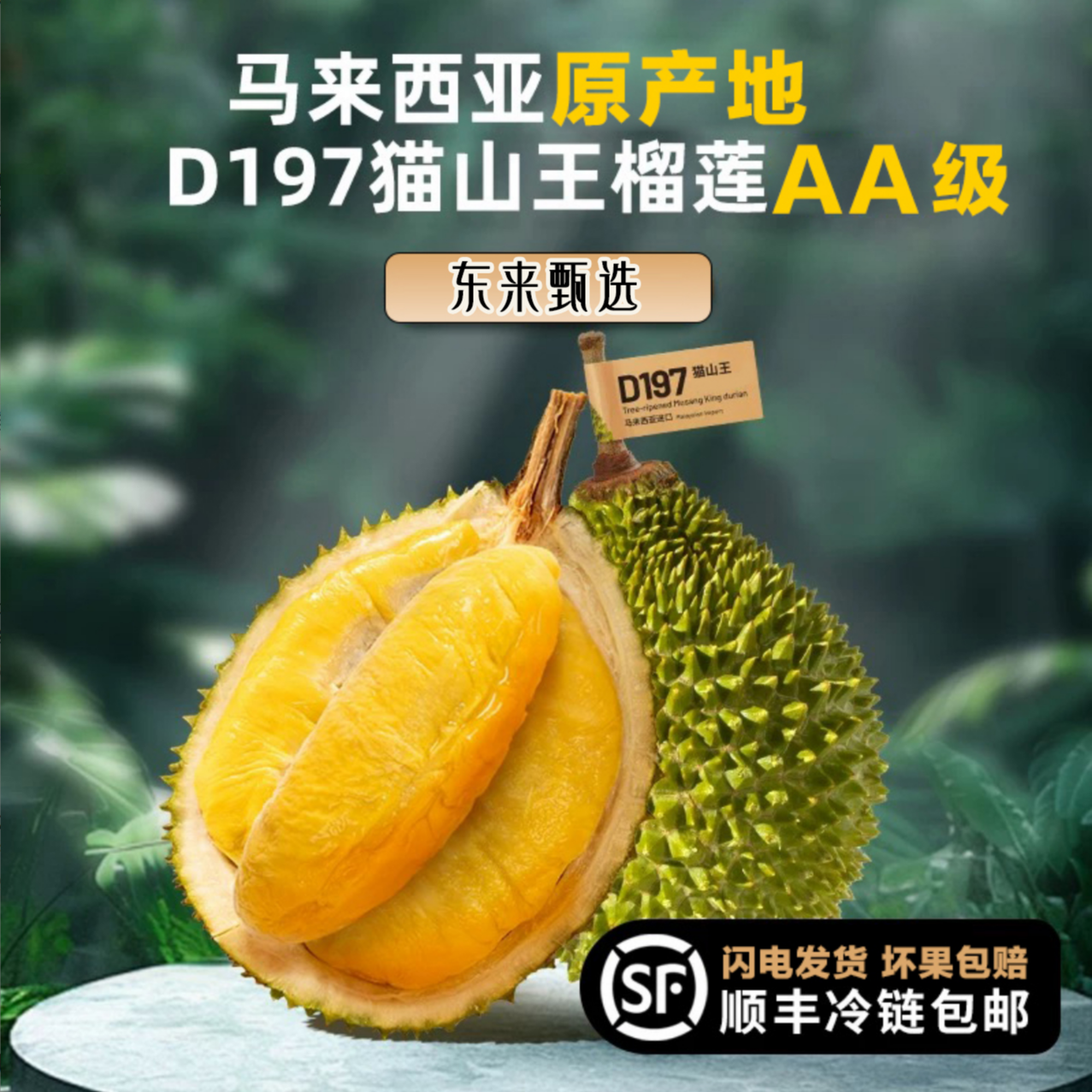 精选猫山王榴莲【顺丰包5房】AA级（少一房赔一房）高山树熟液氮新果