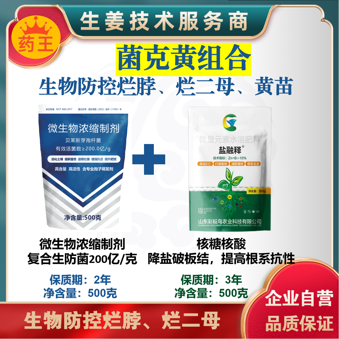 菌克黄组合生防菌防治黄苗死棵烂二母 抗涝害