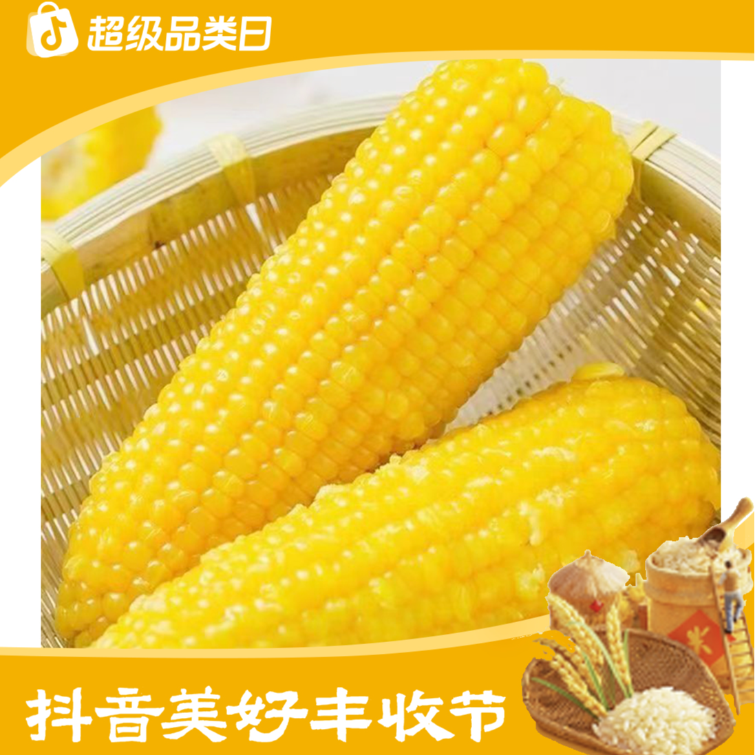 【丰收节特供】东北头茬黄糯玉米280-350克10棒整箱6斤支持5棒试吃