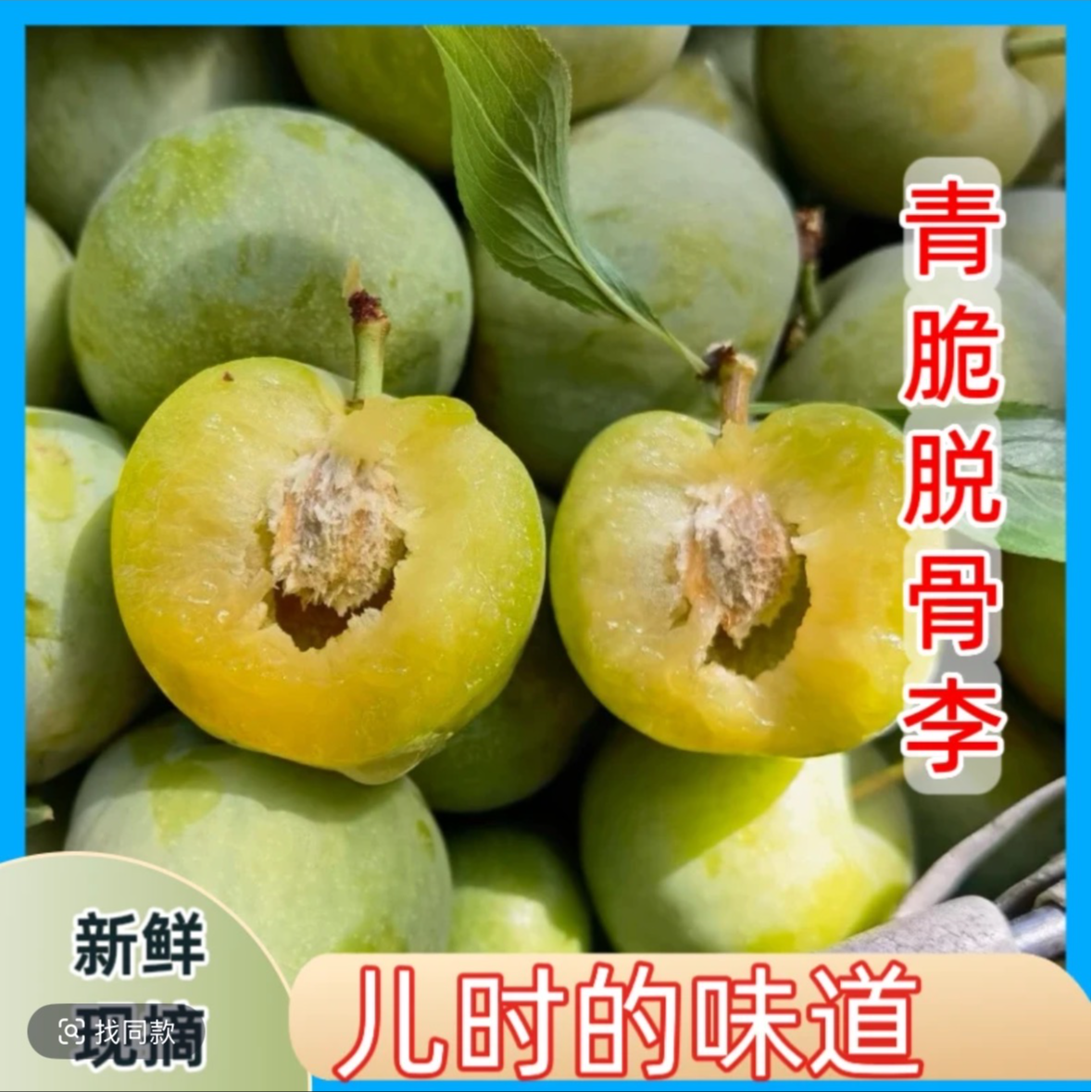 四川青脆李脱骨李新鲜应季水果脆甜脱骨