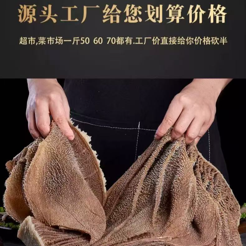 【整个毛肚3斤装 直播热卖】叶片厚实大张 切丝 固形物含量95%以上