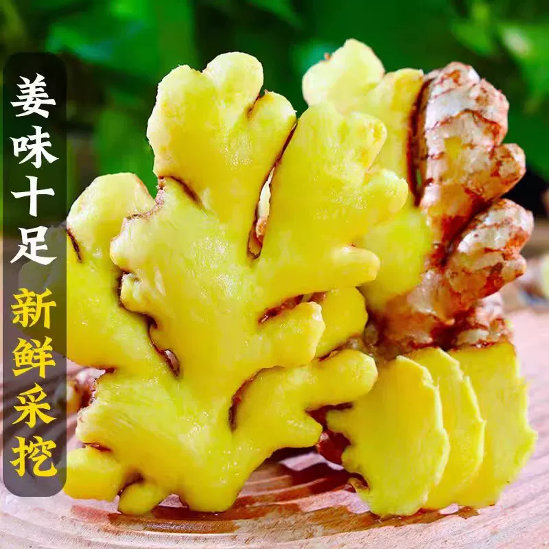 （两年老姜）云南正宗高山小黄姜老生姜3斤/5斤/9斤月子姜土姜沙姜