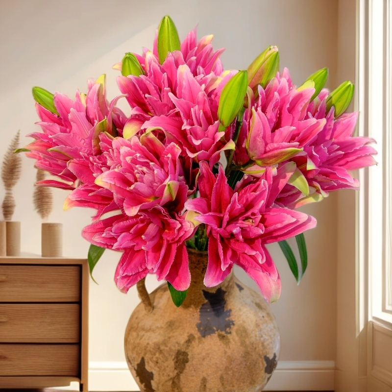 云南木木花卉 艾琳娜 红色重瓣香水百合花家居清香鲜花水养插花