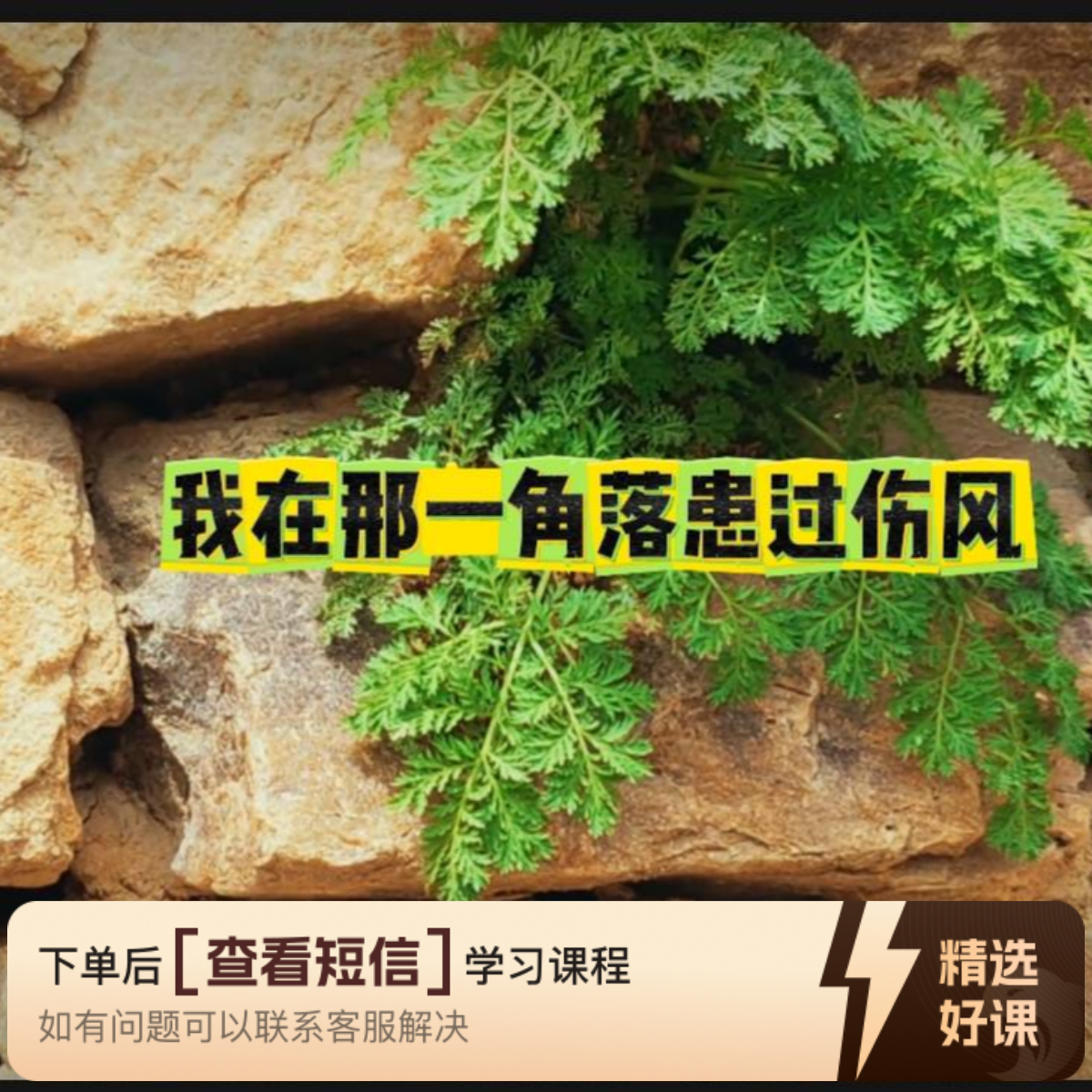 学习演奏钢琴名曲《我在那一角落患过伤风》（留意短信解锁课程）